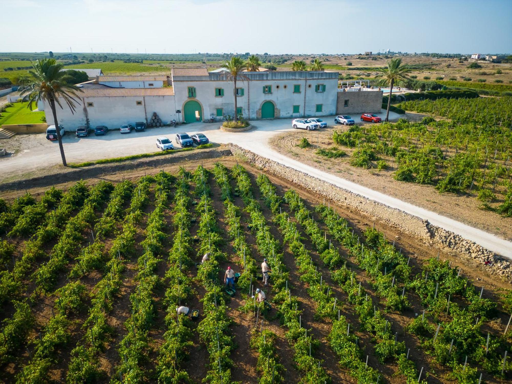 Agriturismo Baglio Donnafranca Wine Resort Marsala Exteriér fotografie