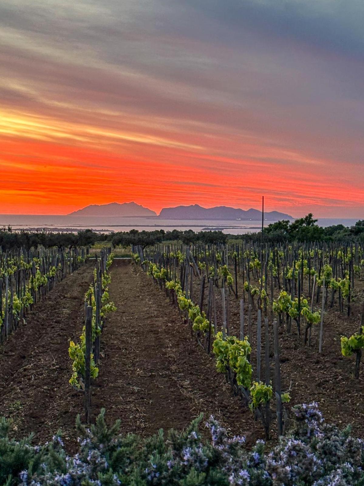 Agriturismo Baglio Donnafranca Wine Resort Marsala Exteriér fotografie