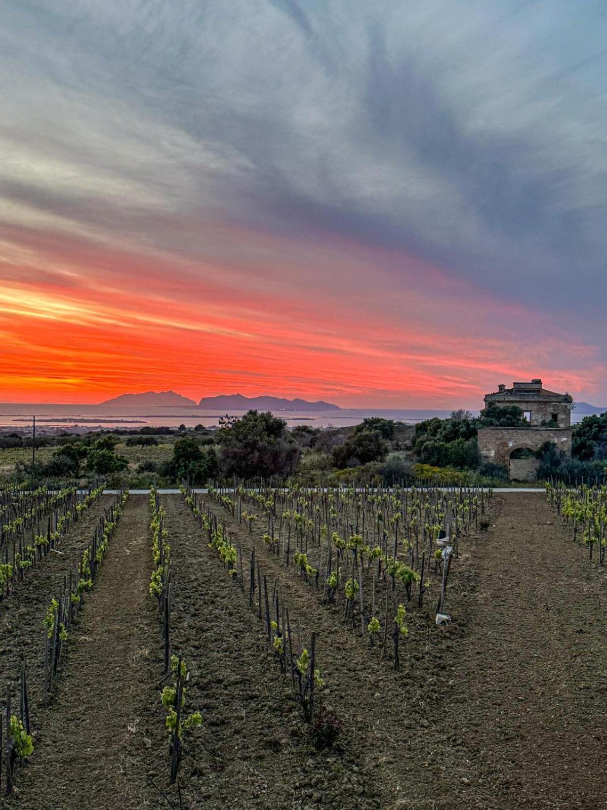 Agriturismo Baglio Donnafranca Wine Resort Marsala Exteriér fotografie