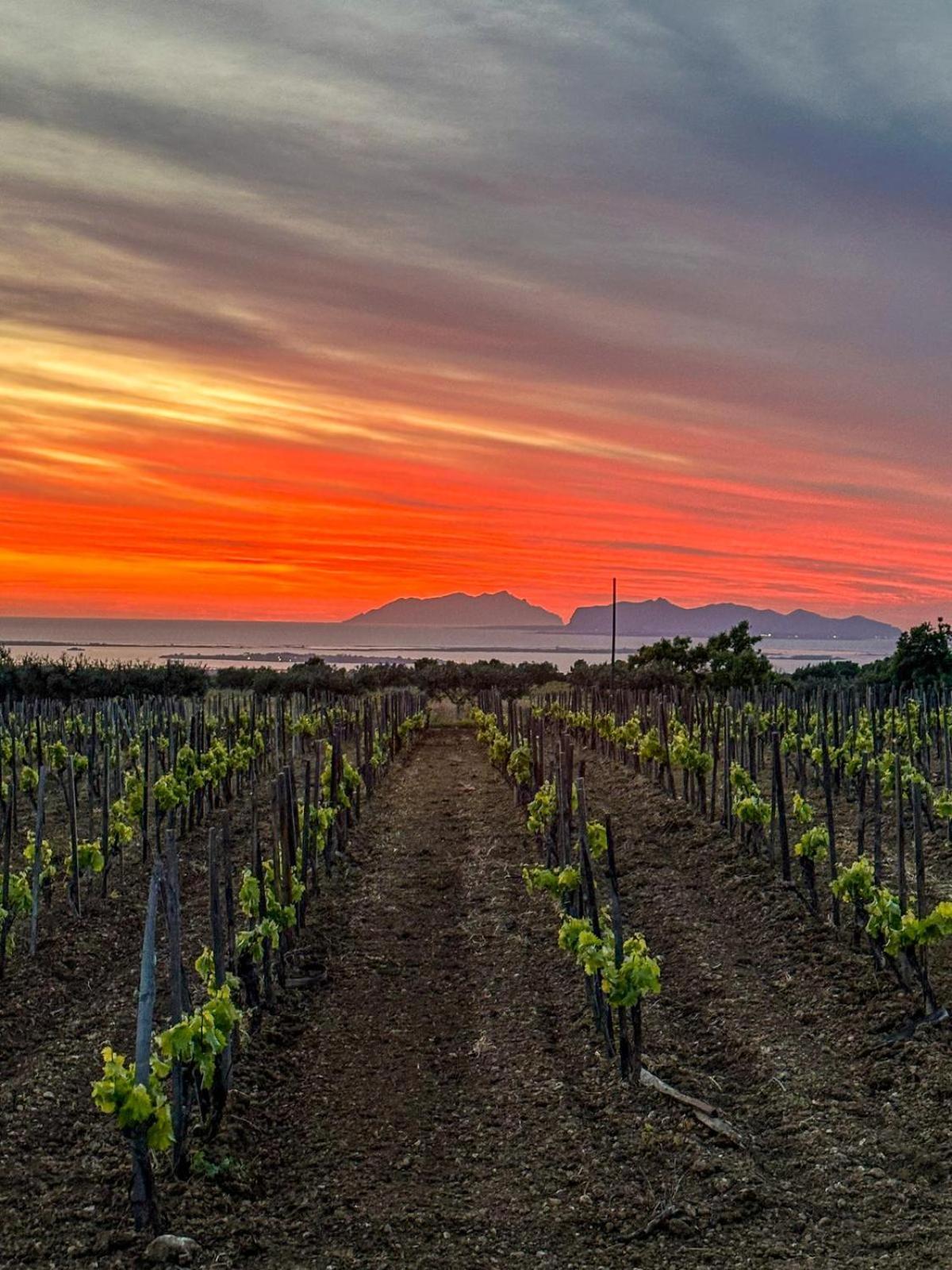 Agriturismo Baglio Donnafranca Wine Resort Marsala Exteriér fotografie